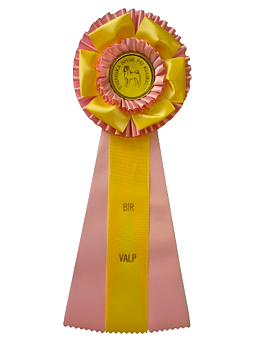 62770 - Rosette für Pferd, Hund, Veranstaltung, 38 cm
