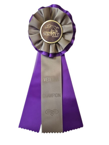 6248 - Rosett för häst, hund, event, 30 cm - 4
