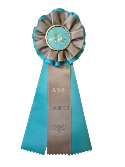 6248 - Rosett för häst, hund, event, 30 cm - 3