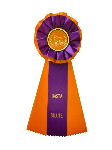6248 - Rosett för häst, hund, event, 30 cm - 6