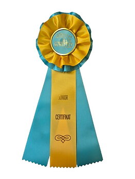 6248 - Rosette für Pferd, Hund, Veranstaltung, 30 cm