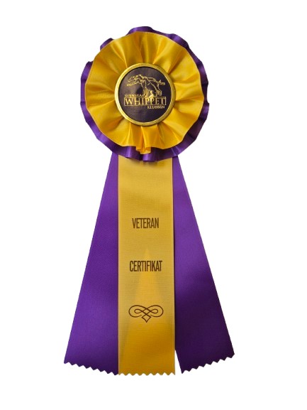 6248 - Rosett för häst, hund, event, 30 cm - 2