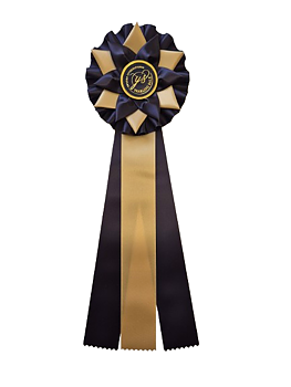 6263 - Rosette für Pferd, Hund, Veranstaltung, 45 cm