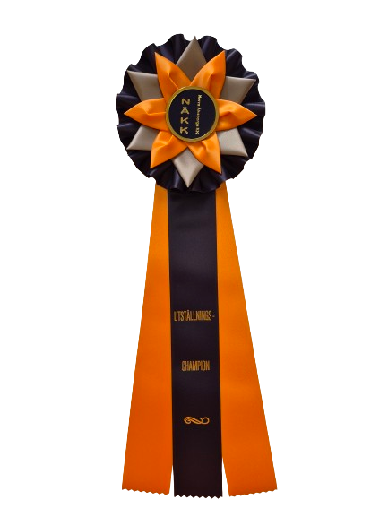 6263 - Rosette für Pferd, Hund, Veranstaltung, 45 cm - 2