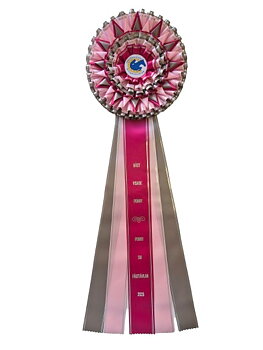 6271 - Rosette für Pferd, Hund, Veranstaltung, 5 Bänder, 81 cm