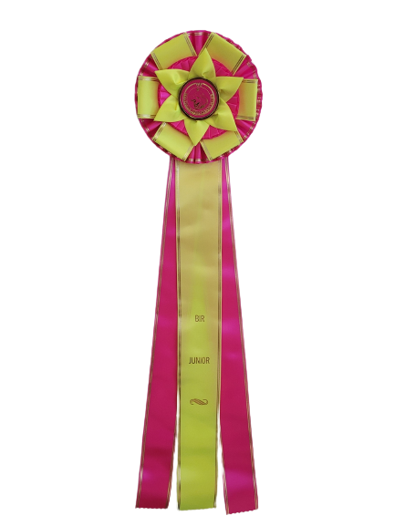 6284 - Rosette für Pferd, Hund, Veranstaltung mit Goldrand, 71 cm - 2