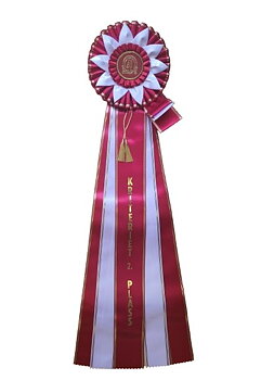 6286 - Rosette für Pferd, Hund, Veranstaltung, mit Seitenbändern, 5 Bänder, 71 cm