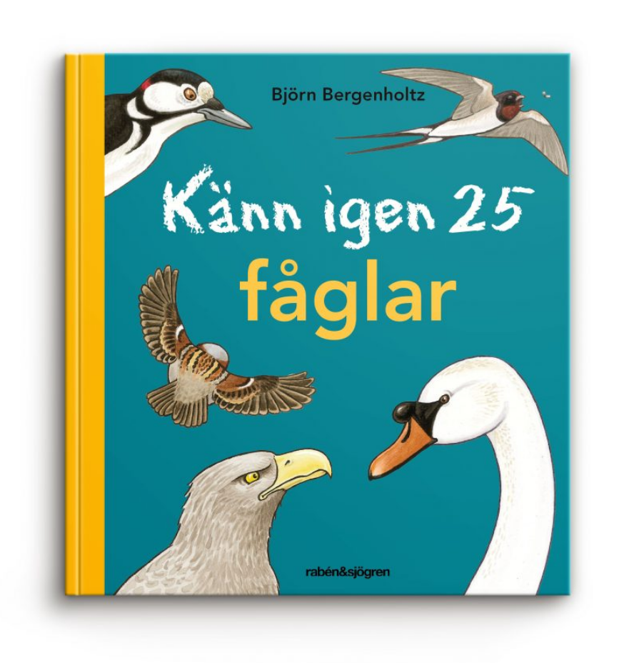 Känn igen 25 fåglar