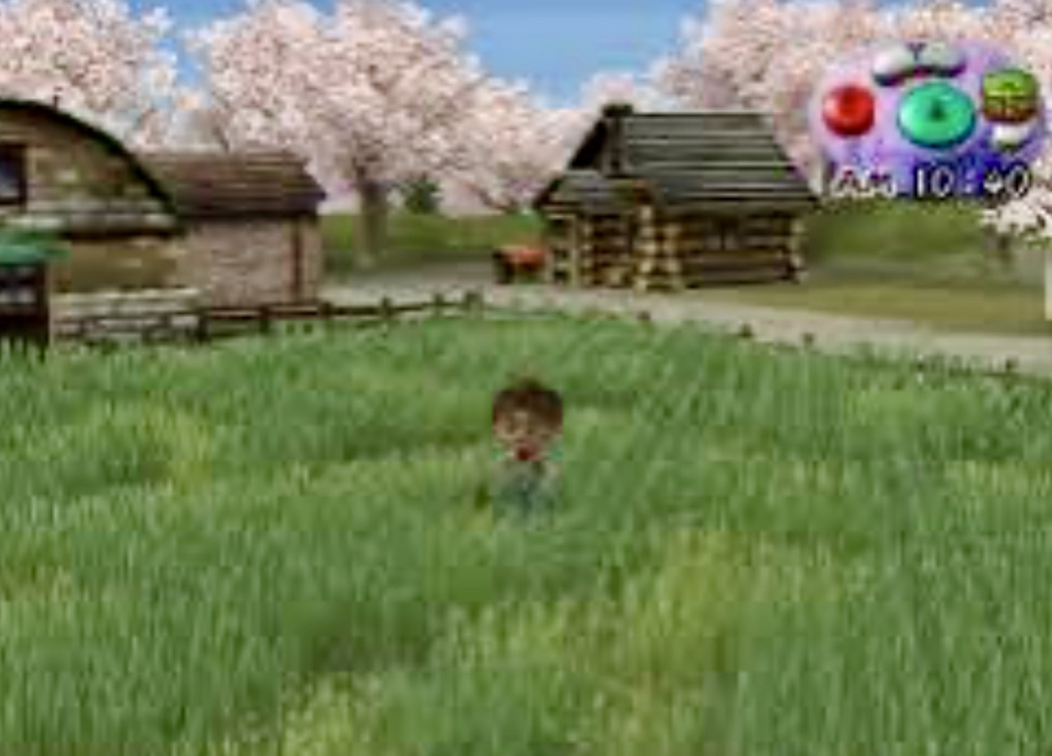 Harvest Moon - A wonderful life - GC - 3
