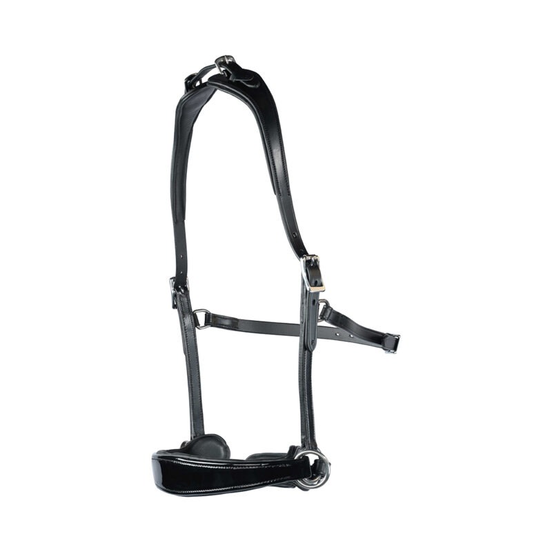 1026. Edix Sidepull- Nyra