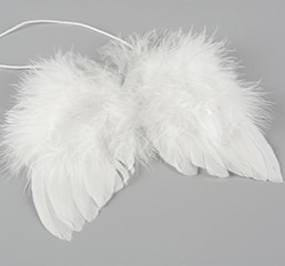 Änglavingar/Fjäder, hänge, 14cm