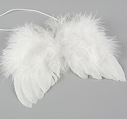 Änglavingar/Fjäder, hänge, 14cm