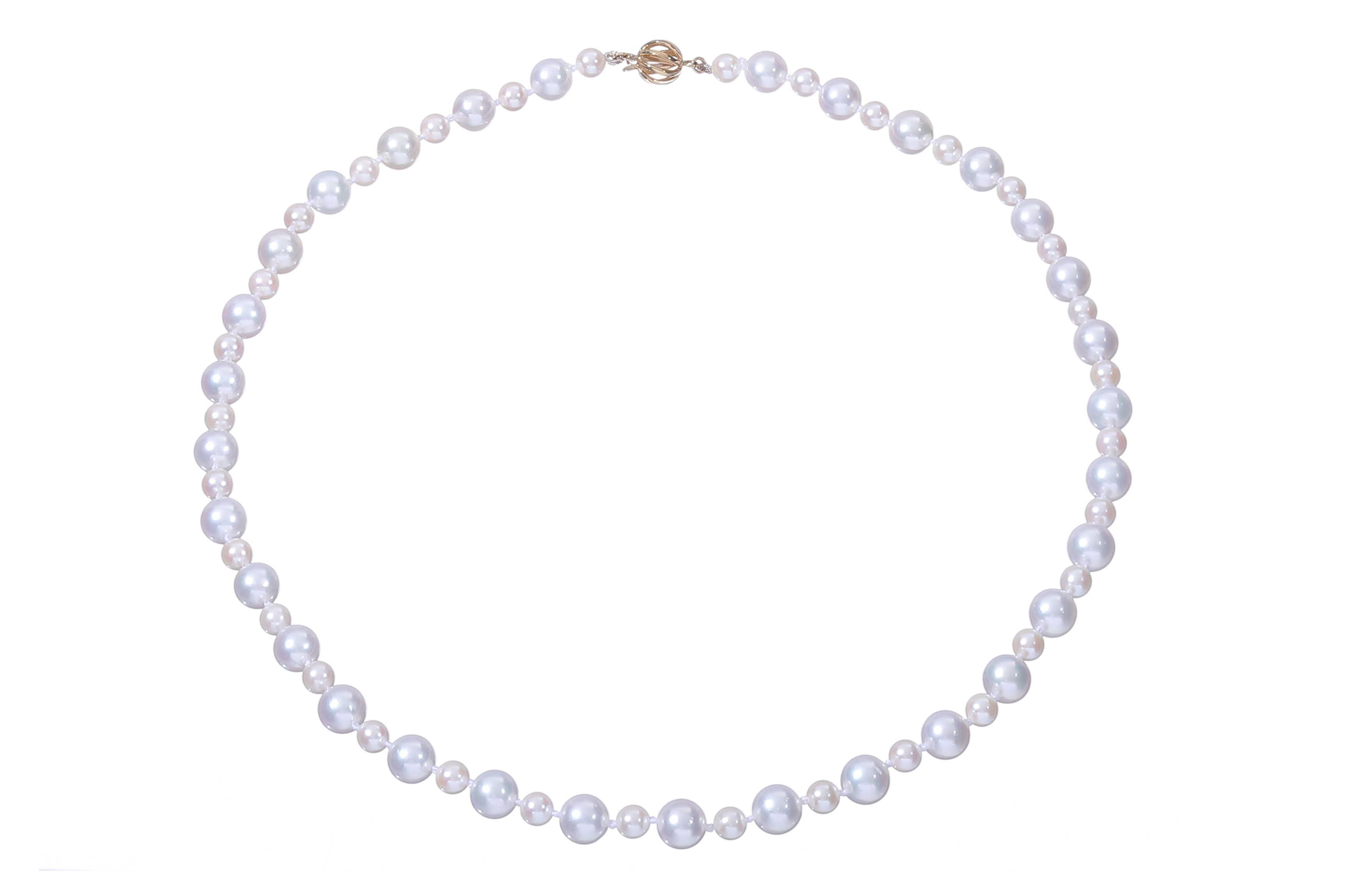 SOLD-OUT! Perlenarmband-Akoya in AA-Qualität mit Goldverschluss - 3