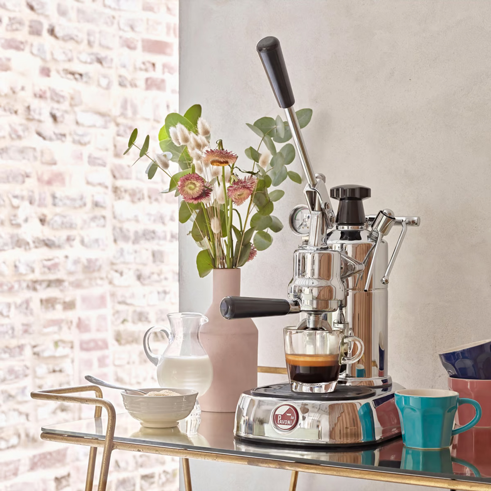 La Pavoni Professional LPLPLQ01EU - Pistong - 4