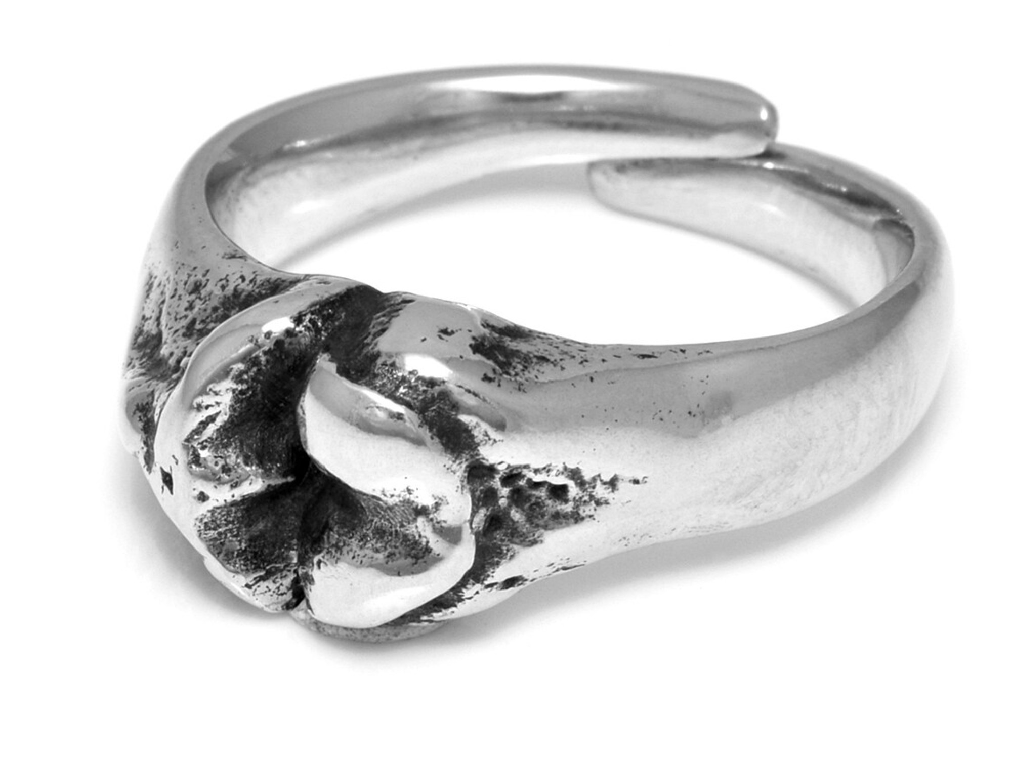 Lårben och Smalben Ring, Anatomi Smycke i Tenn - 2