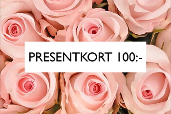 Presentkort 100:-
