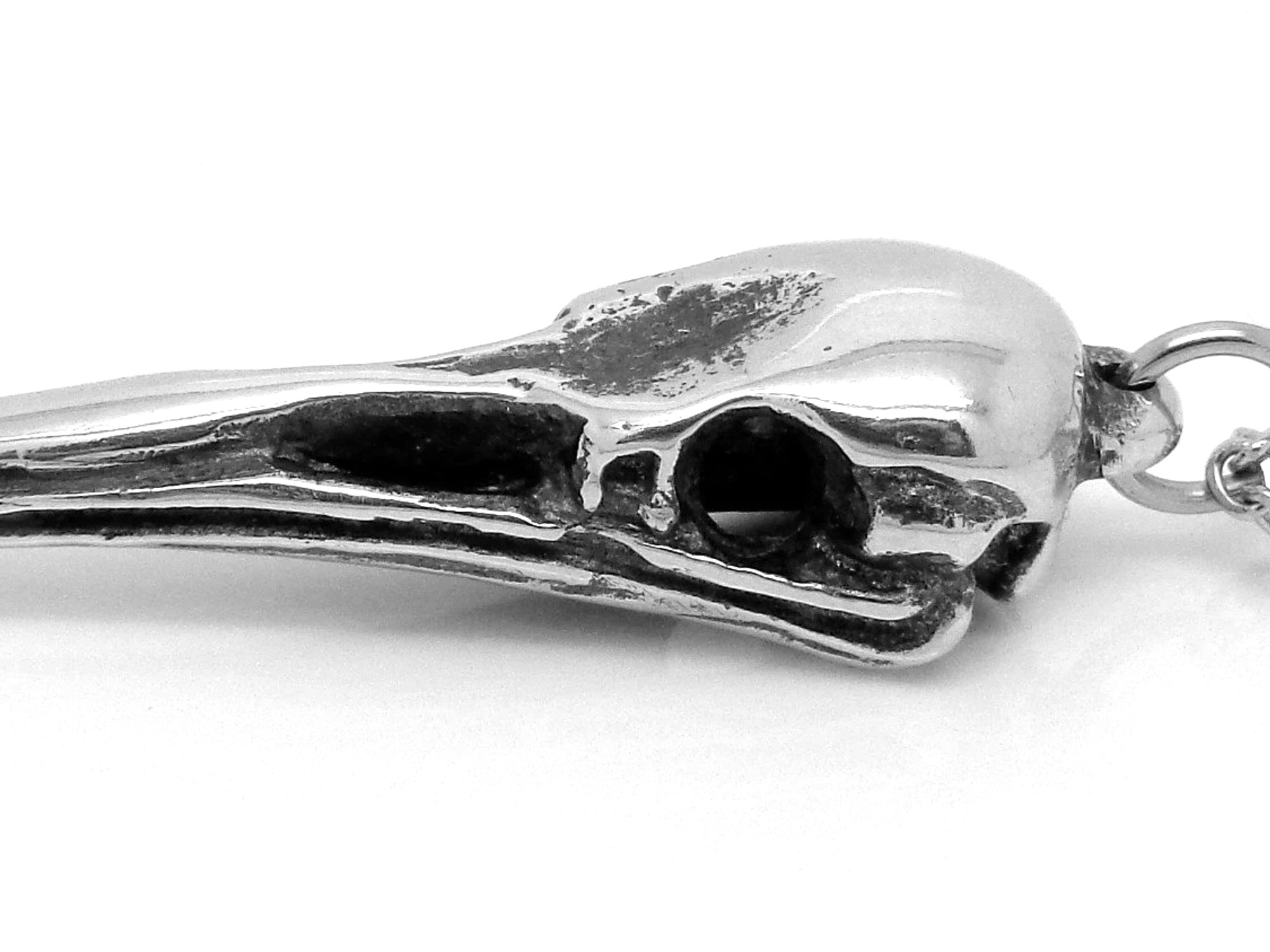 Kiwiskalle Halsband, Kiwifågel Döskalle Hänge, Fågelskalle Smycke i Tenn - 3