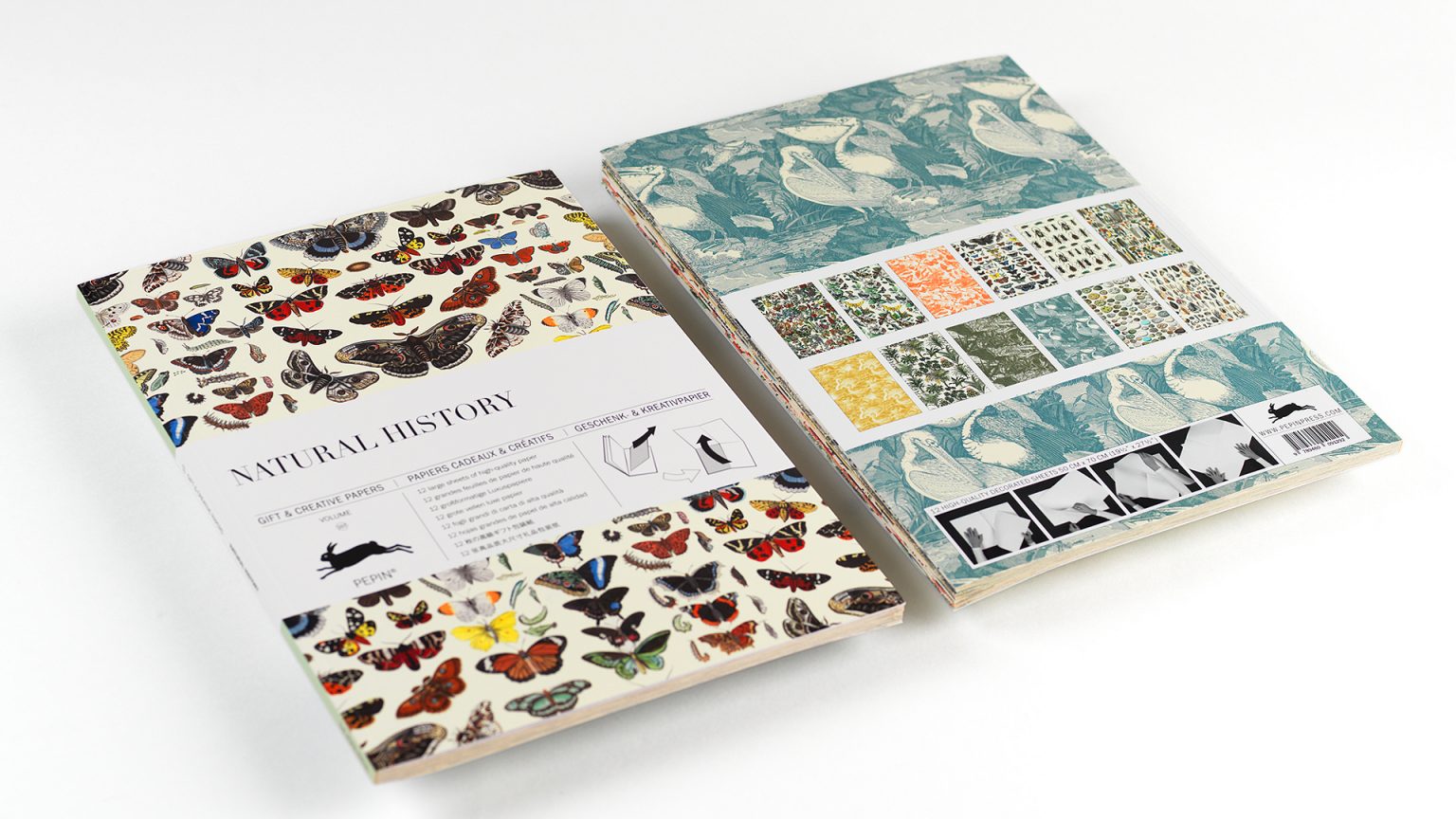 Natural History, Gift & Creative Paper Book - 3
