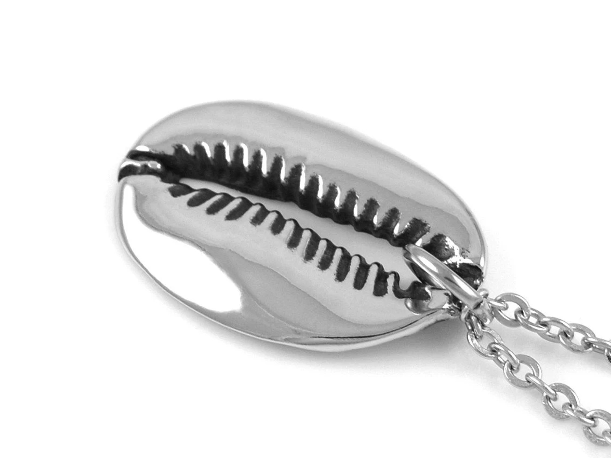Kaurisnäcka Halsband, Snäcka Smycke i Tenn - 4