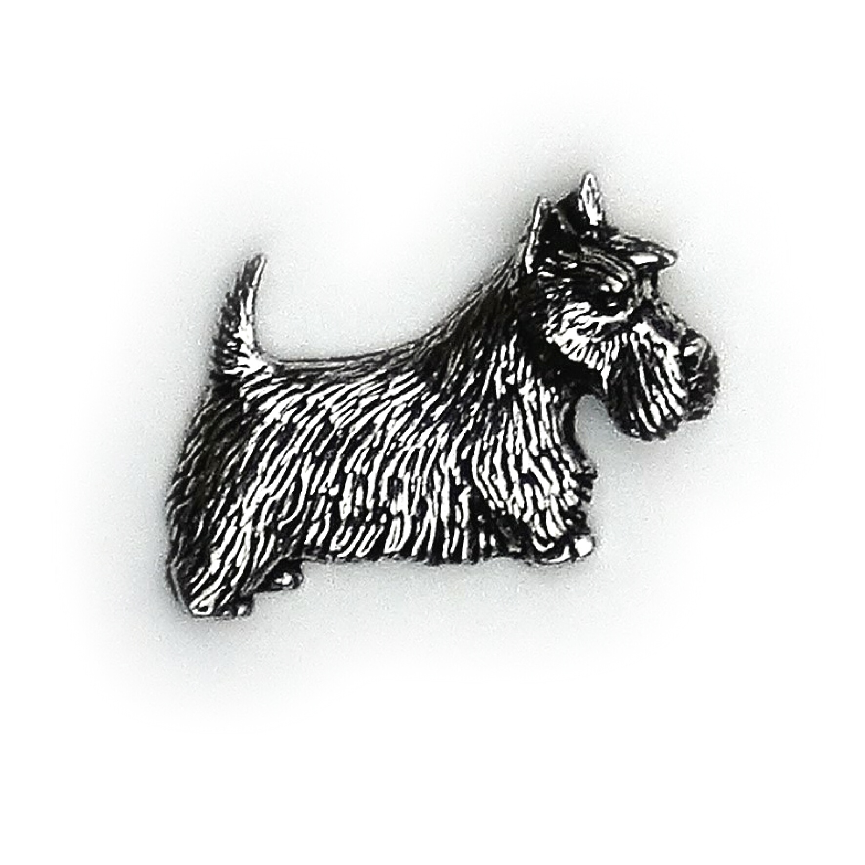 PIN Skotte