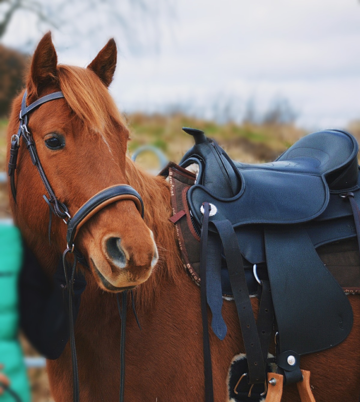 Barefoot® Shape It noseband 'Soft' - 2