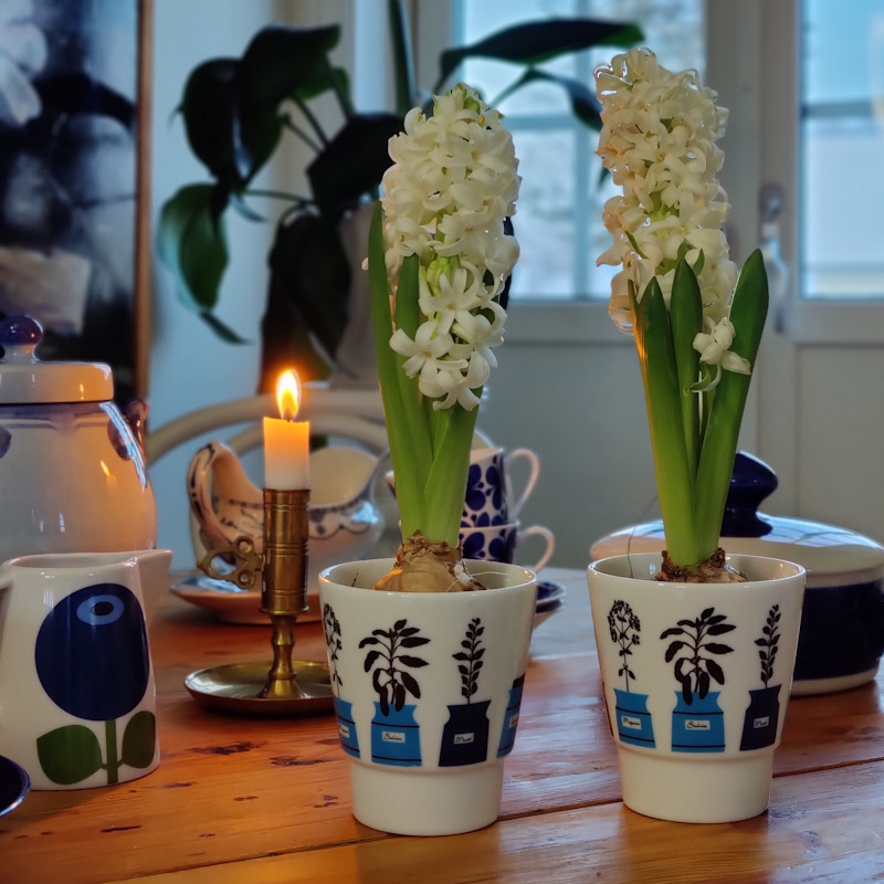 Mugg Persons Kryddskåp från Almedahls - 2