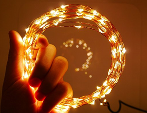 5m 50 LED String Seed Lights