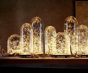 5m 50 LED String Seed Lights