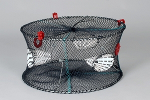 Carapax Crayfish Trap