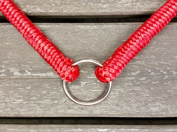 Neck rope with ring