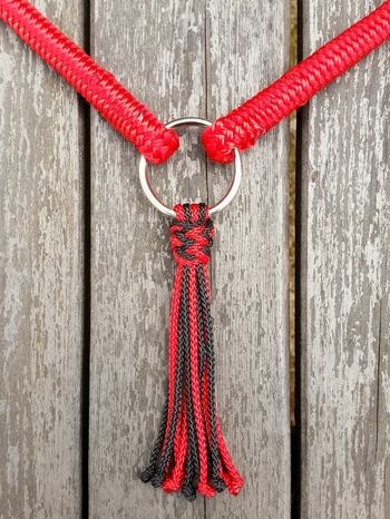 Neck rope with ring and tassel
