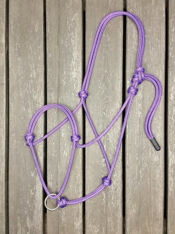 Rope halter with running lead rope ring