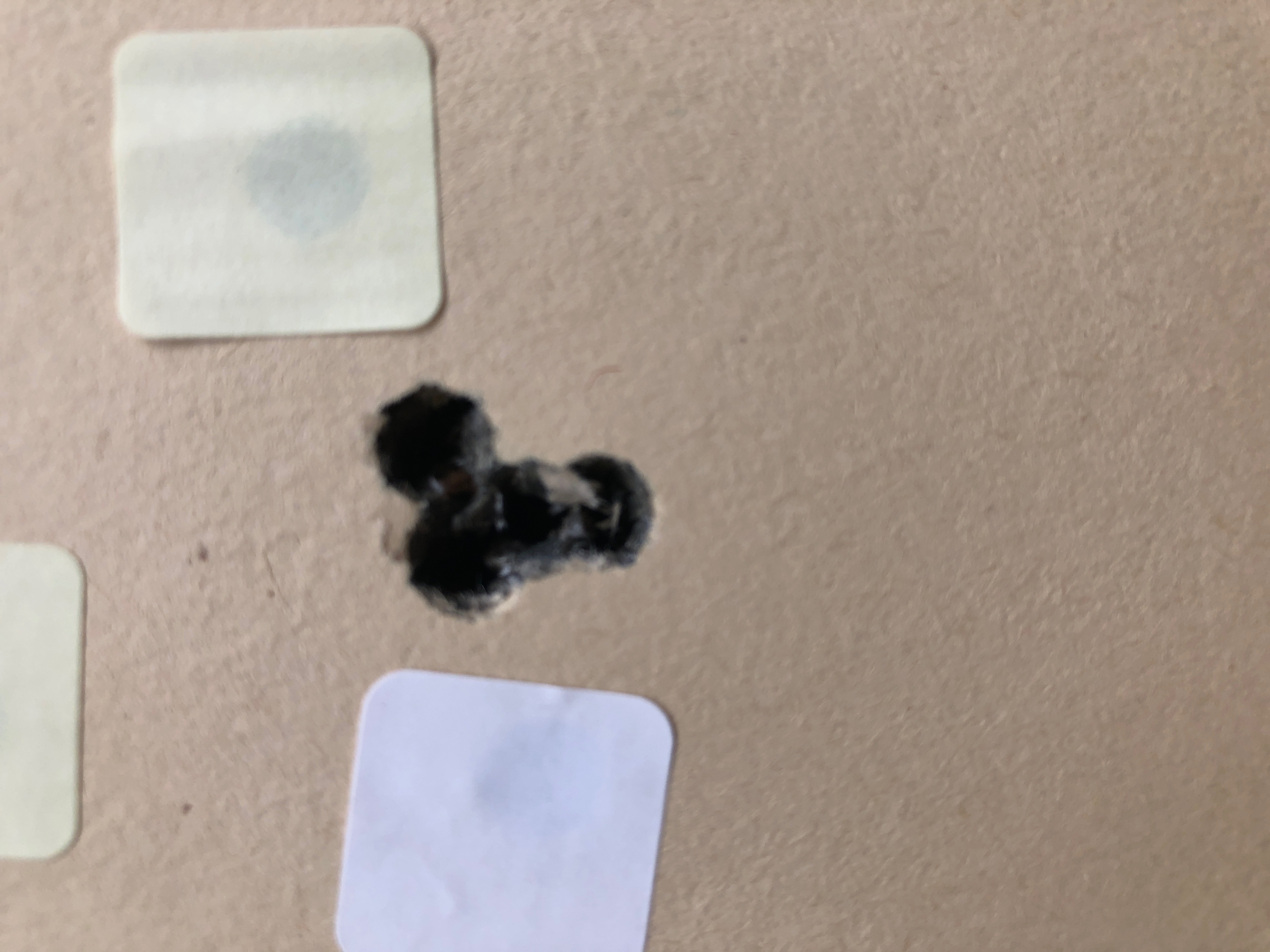 F&K Sport Sweden AB International Barrels