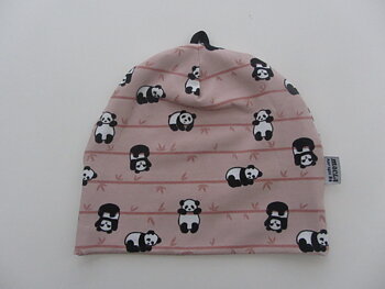Pandor