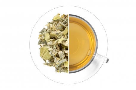 Greek Mountain Tea Ekologisk - Sideritis scardica