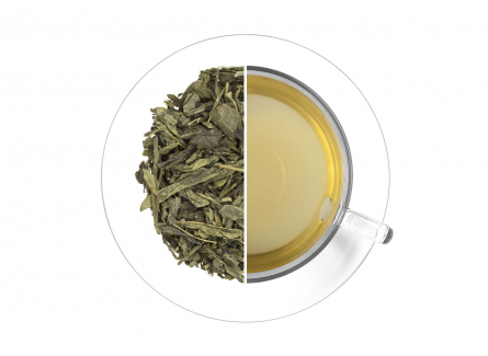 Sencha