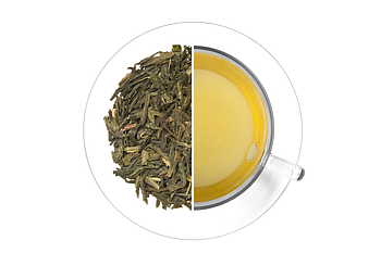 Sencha Satsuma