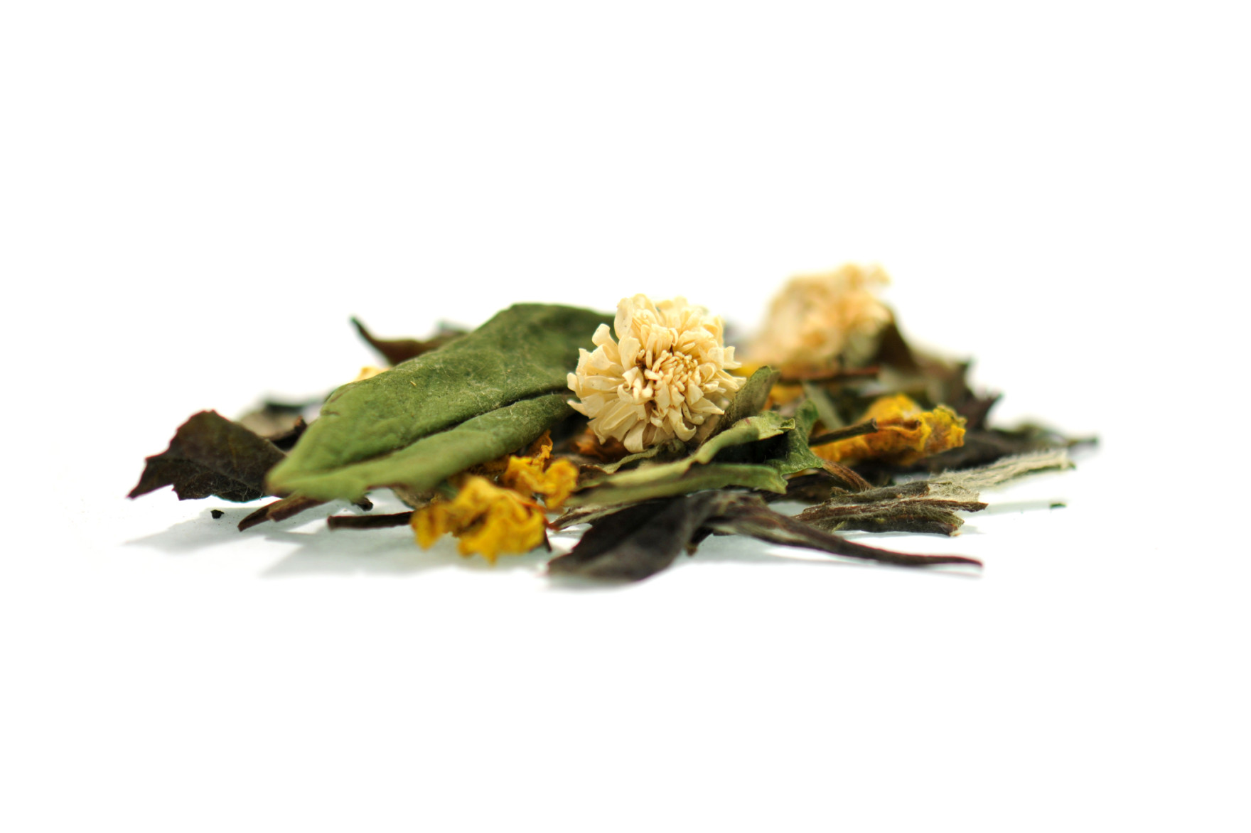 Spirulina