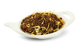 Rooibos Teaser