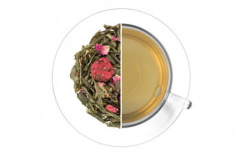 Grön Wellness Ginkgo
