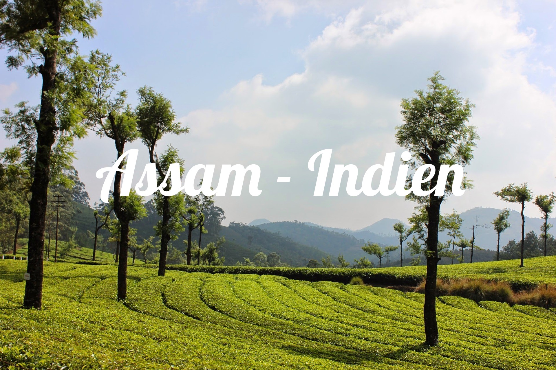 Assam