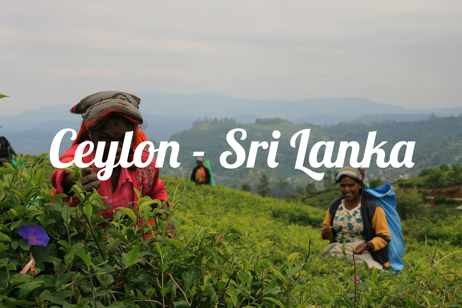Ceylon