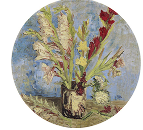 Gladiolus