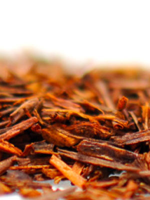 Honeybush