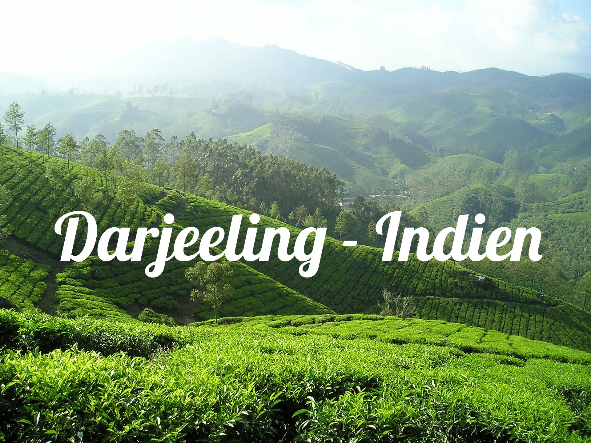 Darjeeling