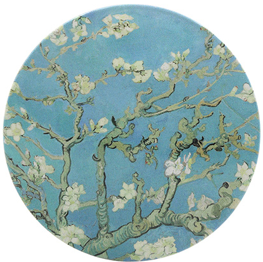 Almond Blossom