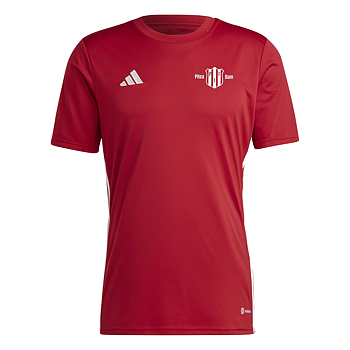 Supportertröja (Piteå IF DFF)