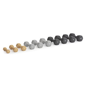 Abilica DumbBells 1-10 kg