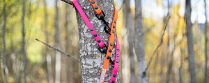Coming soon Hunting leash