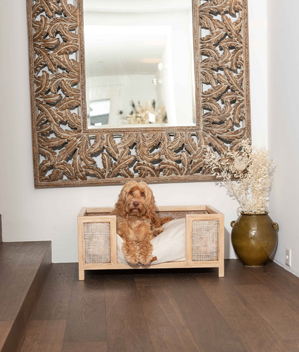 Pet & Co Major Dog Bed - 3